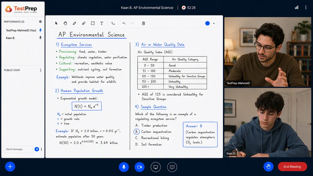 TestPrep sınıfında AP Environmental Science birebir dersi — eğitmen ve öğrenci tahtada birlikte çalışıyor